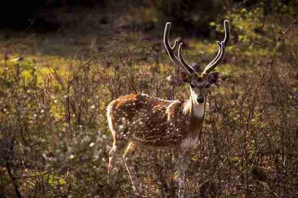 photography stuent work 2