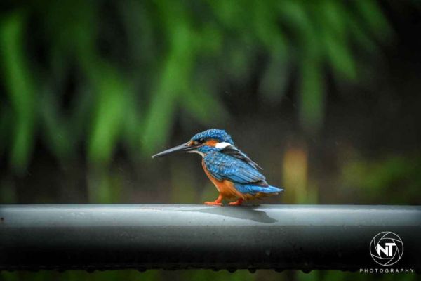 photography stuent work7